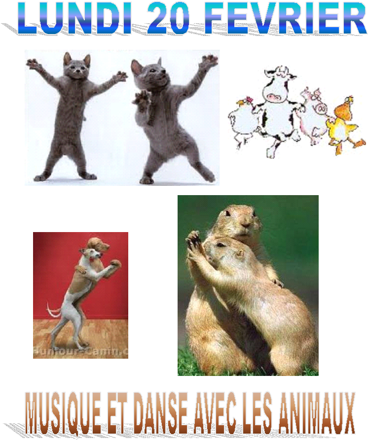 Danse et animaux